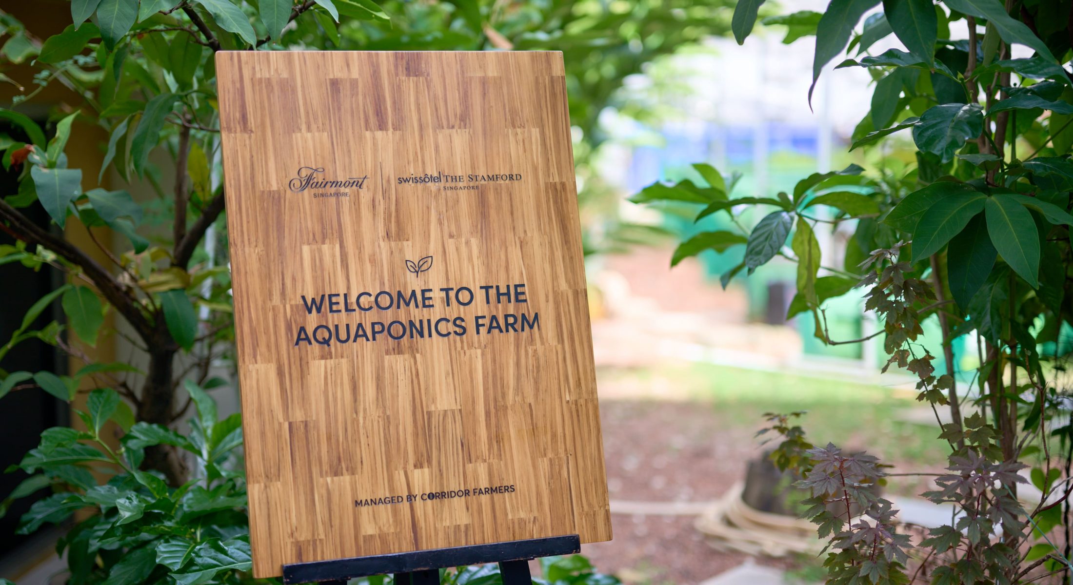 Aquaponics Farm | Swissôtel The Stamford
