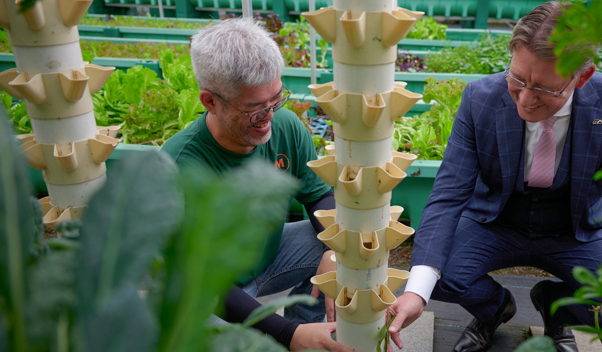 Aquaponics Farm | Swissôtel The Stamford